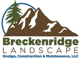 Breckenridge Landscape